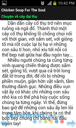 Hạt giống tâm hồn 2