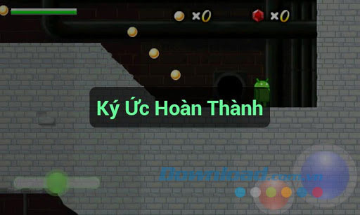 Cuộc phiêu lưu của Roy
