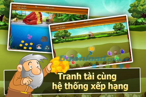 Đào vàng 2013