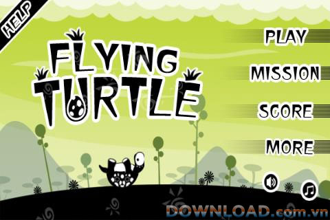 Flying Turtle