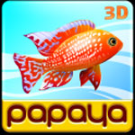 Papaya Fish 3D