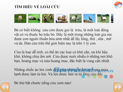 Cừu ngáo và Dê ngố for iPad