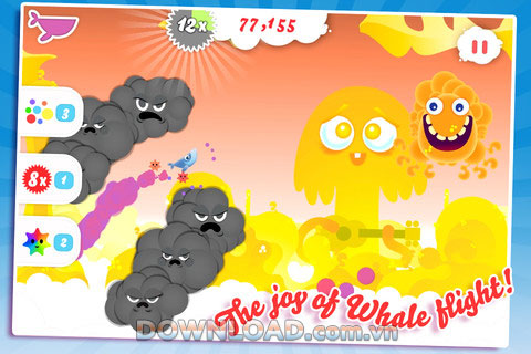 Whale Trail