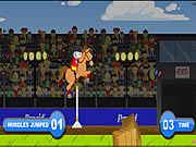 Pepcid Horse Jumping