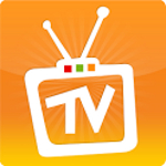 MegaTV